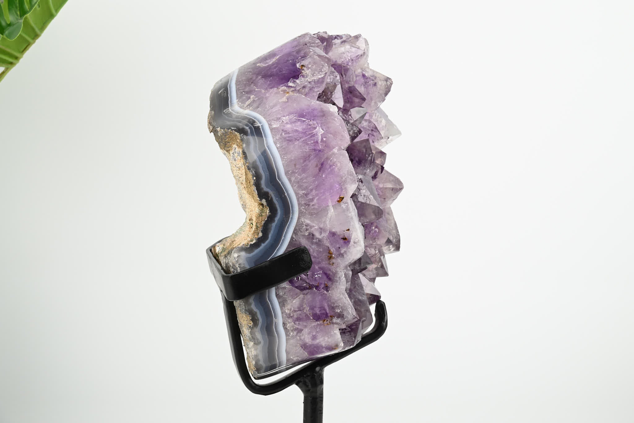 Amethyst Cluster on Stand - Medium 24cm Tall - #CLUSAM-63012