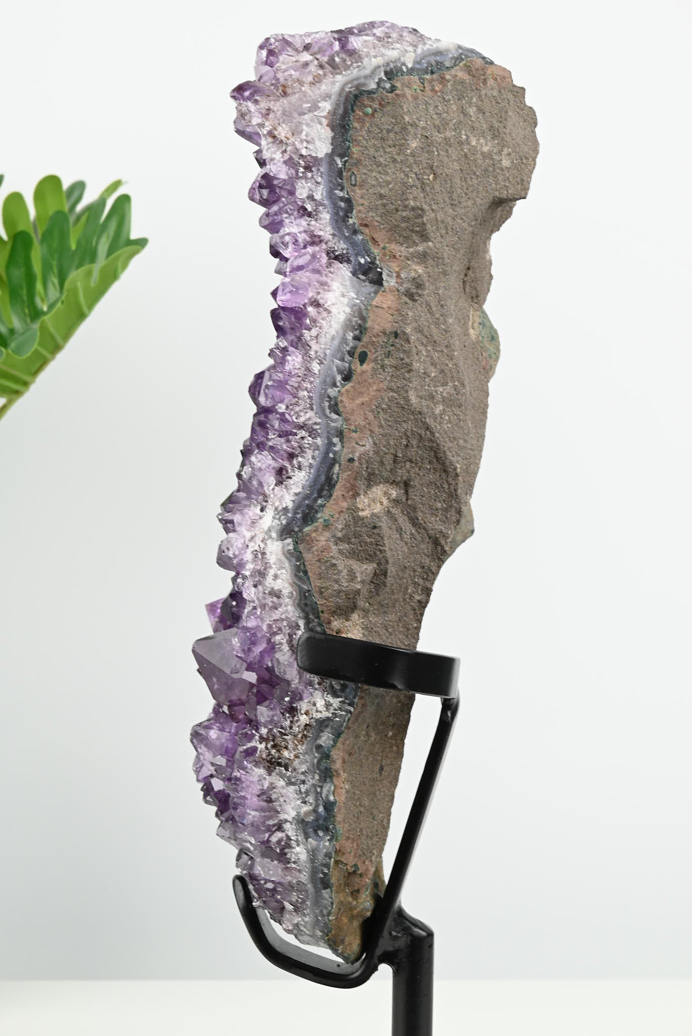 Amethyst Cluster on Stand - Large 34cm Tall - #CLUSAM-63008