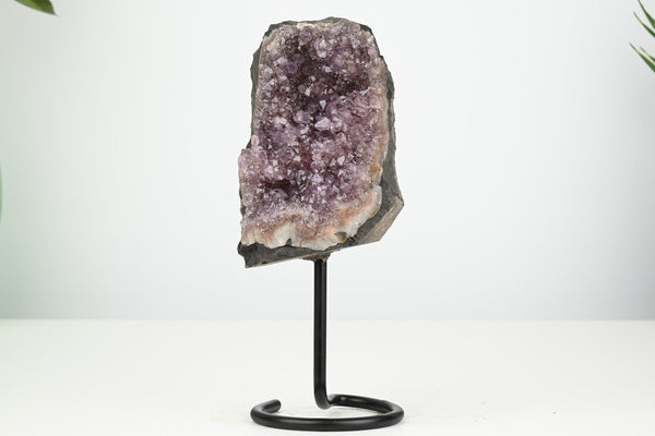 Amethyst Cluster on Stand - Small 17cm Tall - #CLUSAM-63034