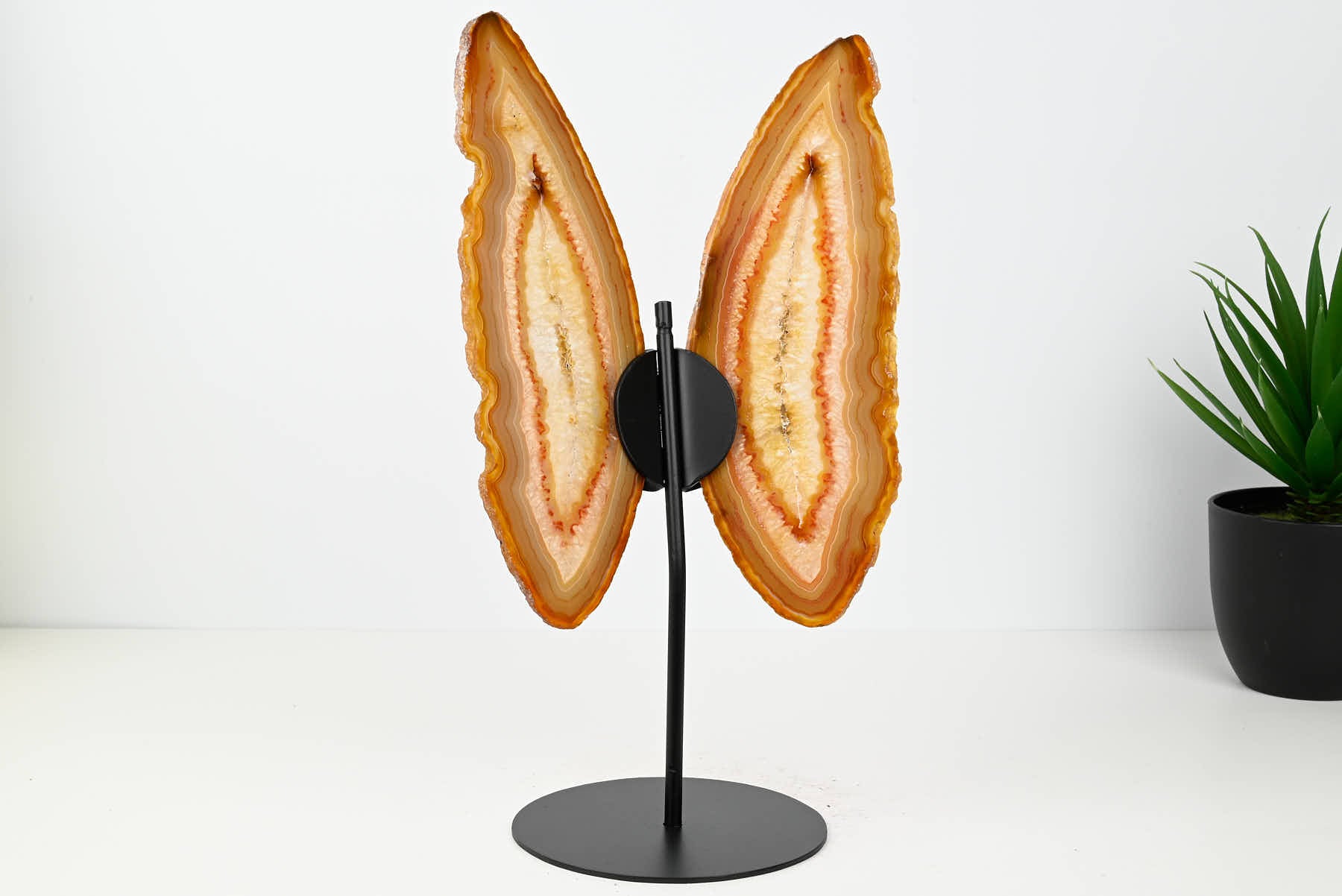 Natural Agate Butterfly on Stand - 0.83kg and 29cm Tall - #BUNATU-10021