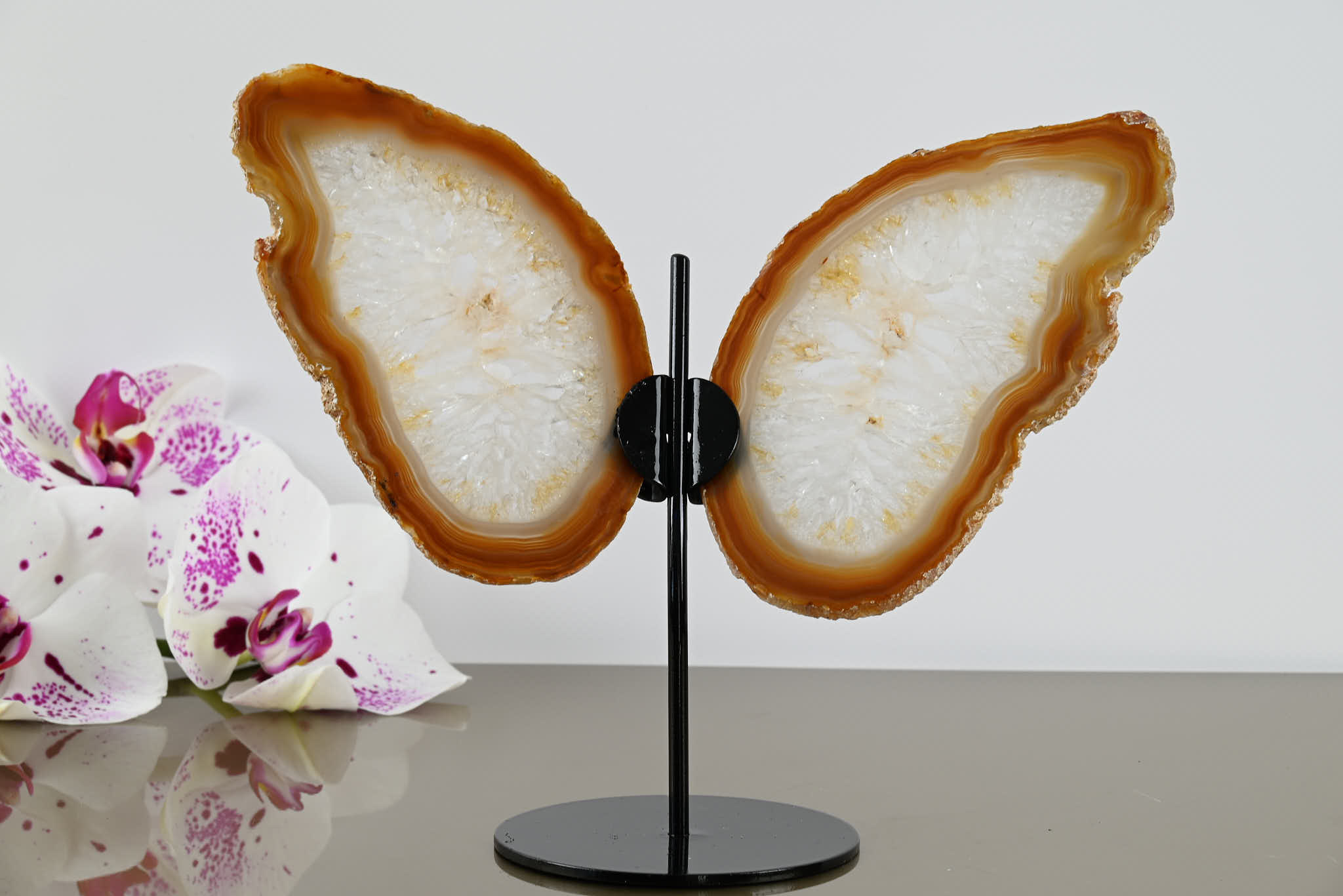 Natural Agate "Butterfly" Slices 16cm Tall - #BUNATU-10001