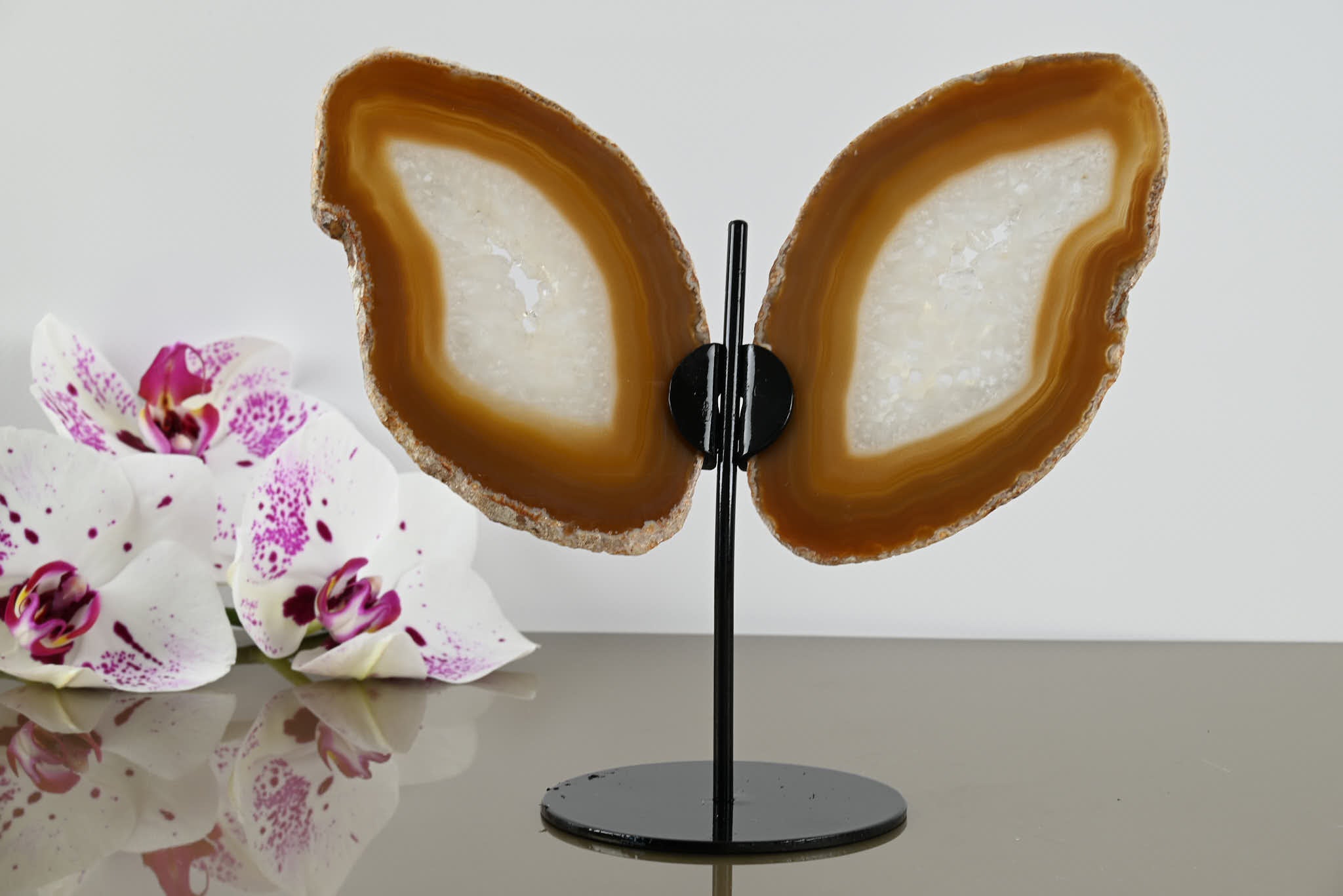 Natural Agate "Butterfly" Slices 15cm Tall - #BUNATU-10002
