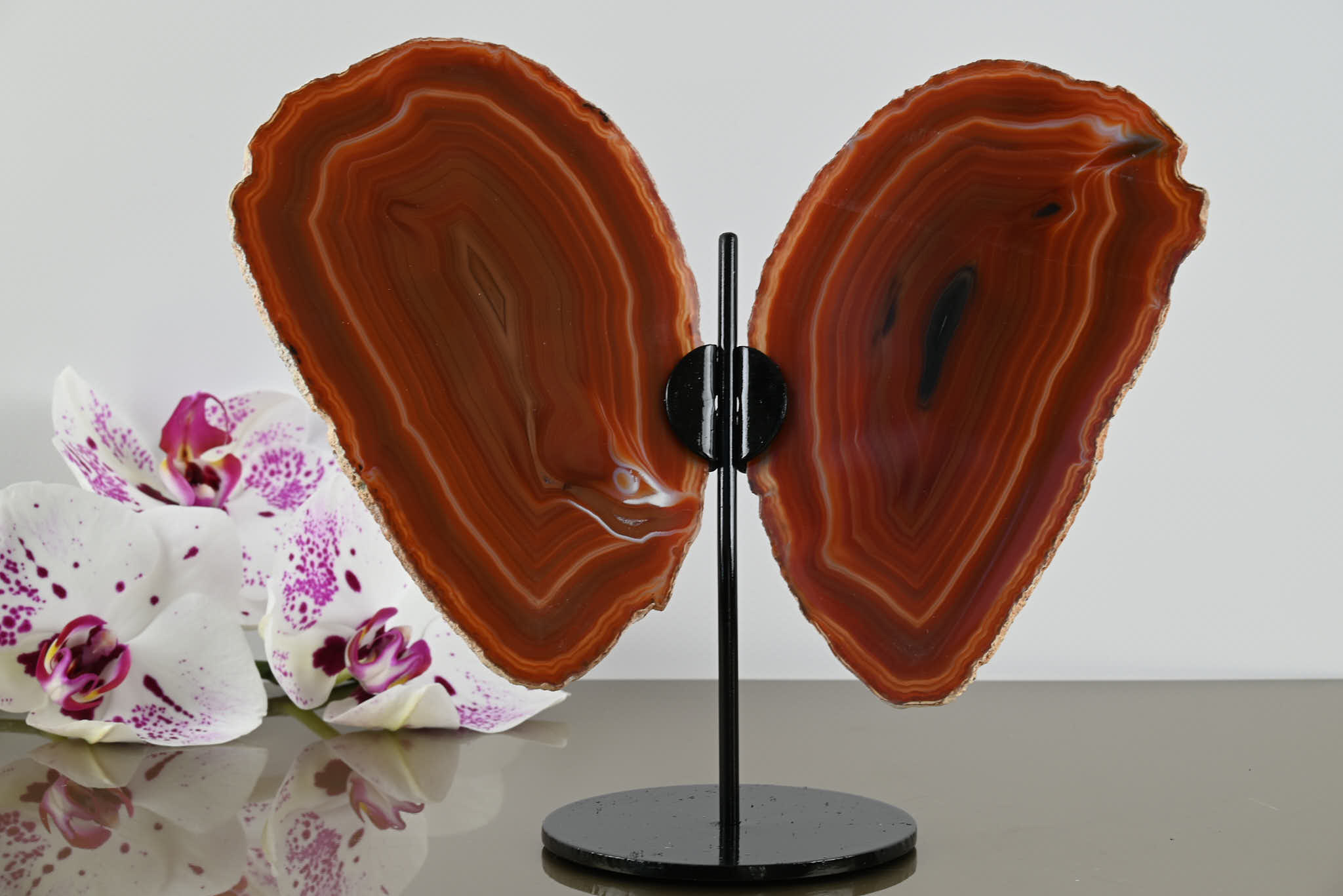 Natural Agate "Butterfly" Slices 6cm Tall - #BUNATU-10004