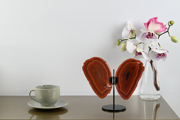 Natural Agate "Butterfly" Slices 6cm Tall - #BUNATU-10004