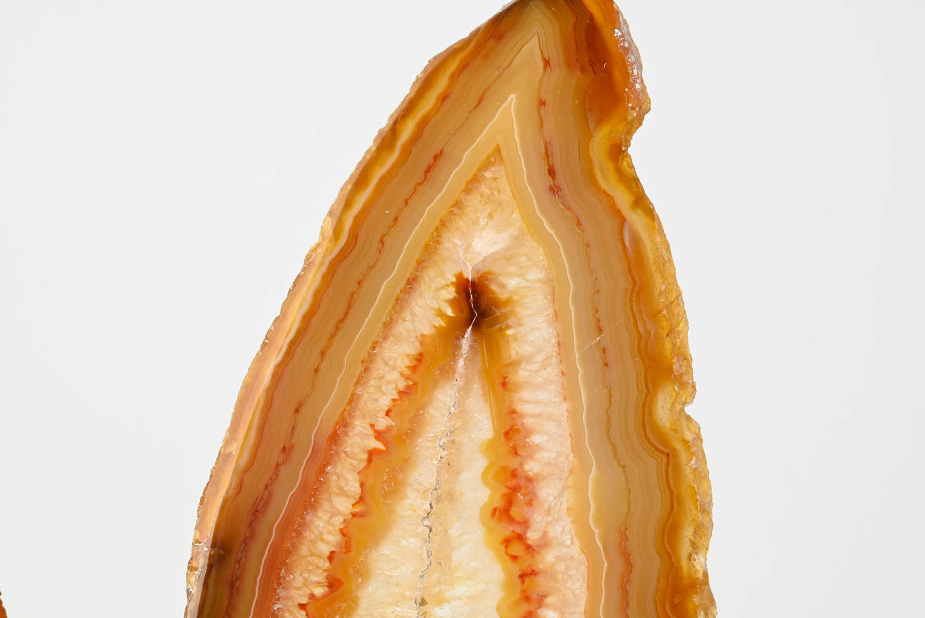 Natural Agate Butterfly on Stand - 0.83kg and 29cm Tall - #BUNATU-10021