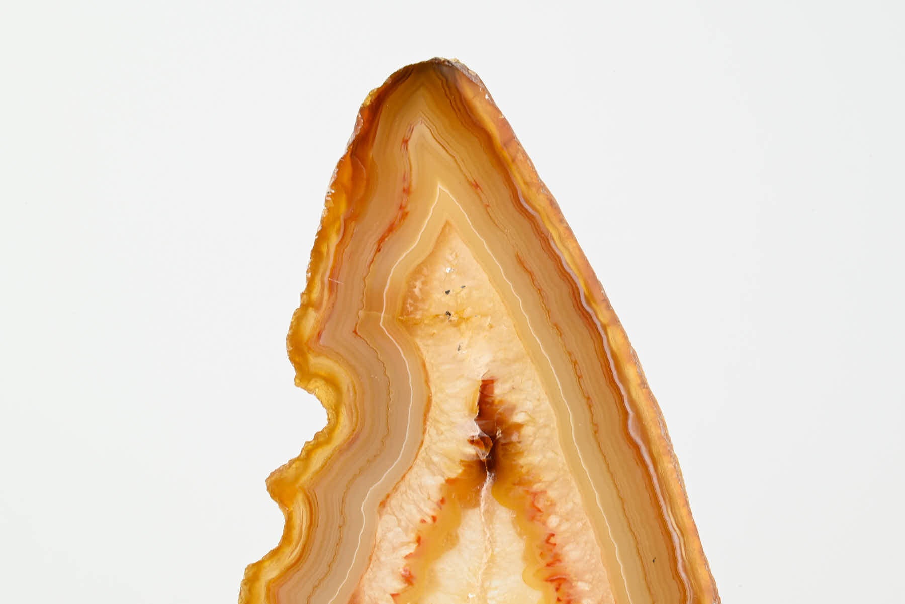 Natural Agate Butterfly on Stand - 0.83kg and 29cm Tall - #BUNATU-10021