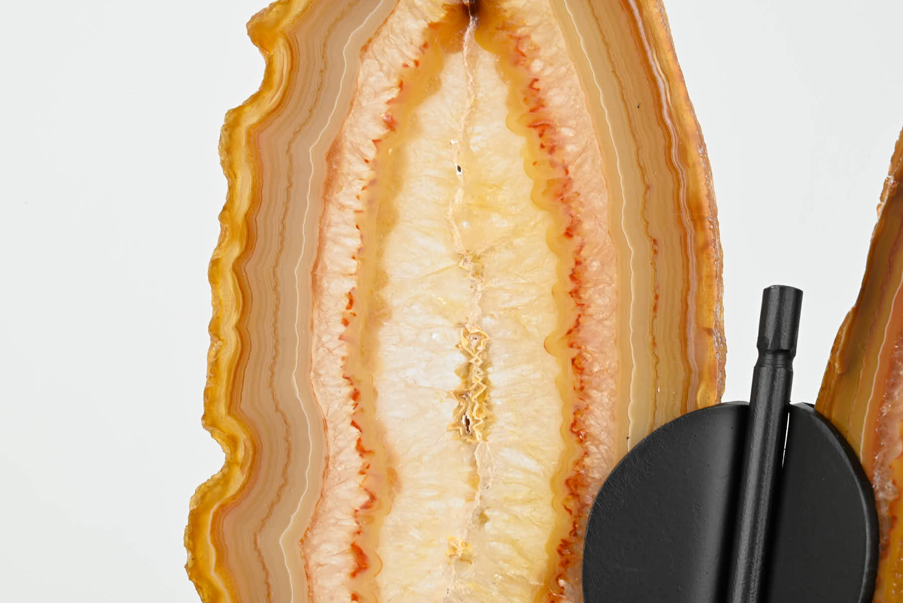 Natural Agate Butterfly on Stand - 0.83kg and 29cm Tall - #BUNATU-10021