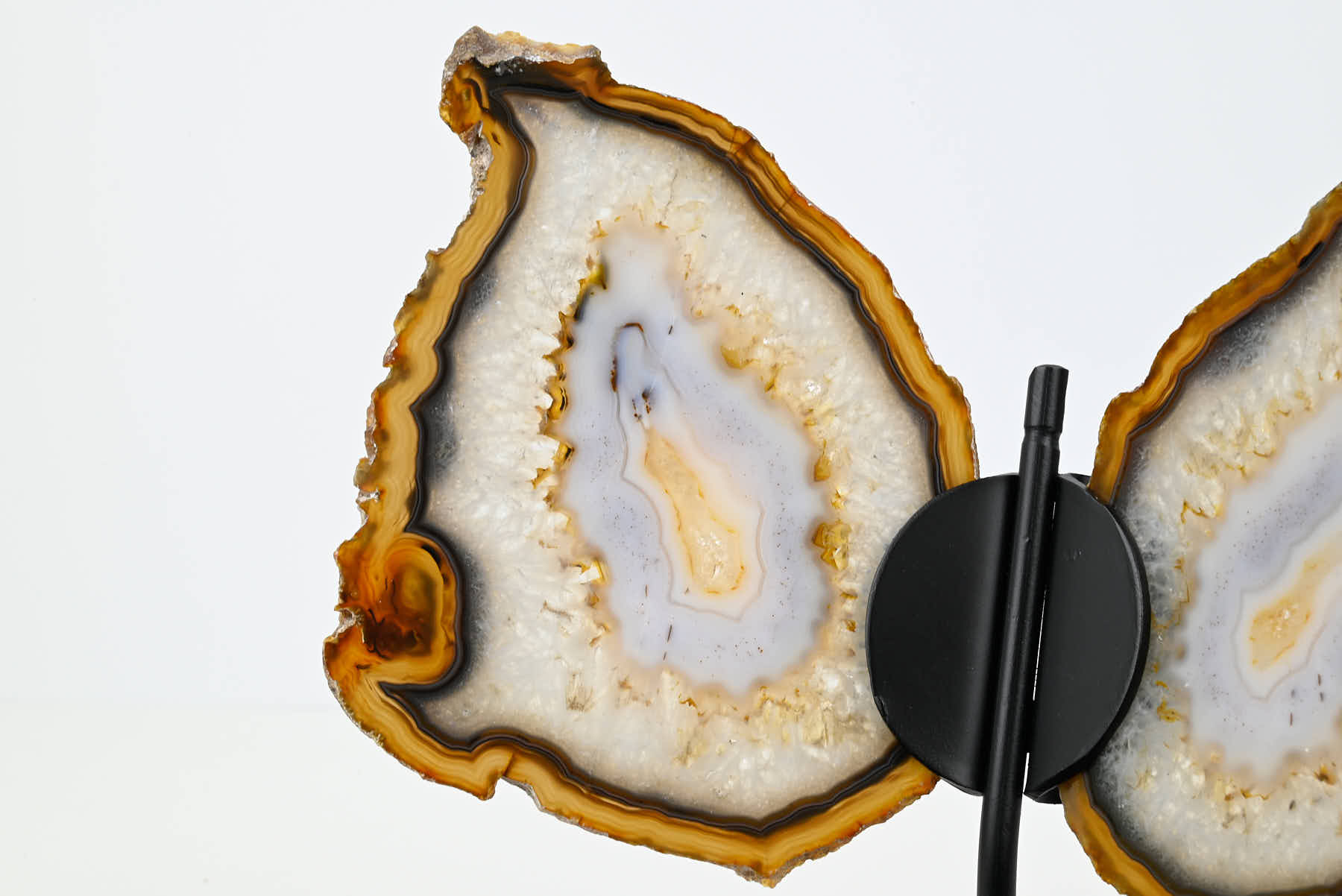 Natural Agate Butterfly on Stand - 0.58kg and 20cm Tall - #BUNATU-10017