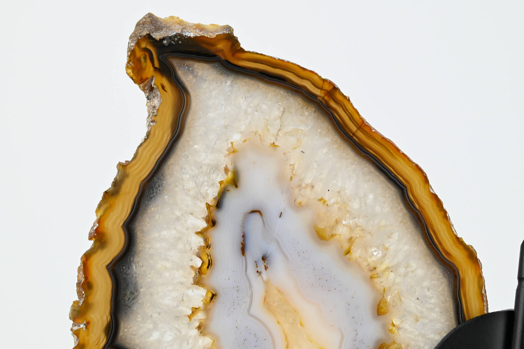 Natural Agate Butterfly on Stand - 0.58kg and 20cm Tall - #BUNATU-10017