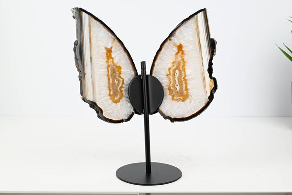 Natural Agate Butterfly on Stand - 0.59kg and 22cm Tall - #BUNATU-10016