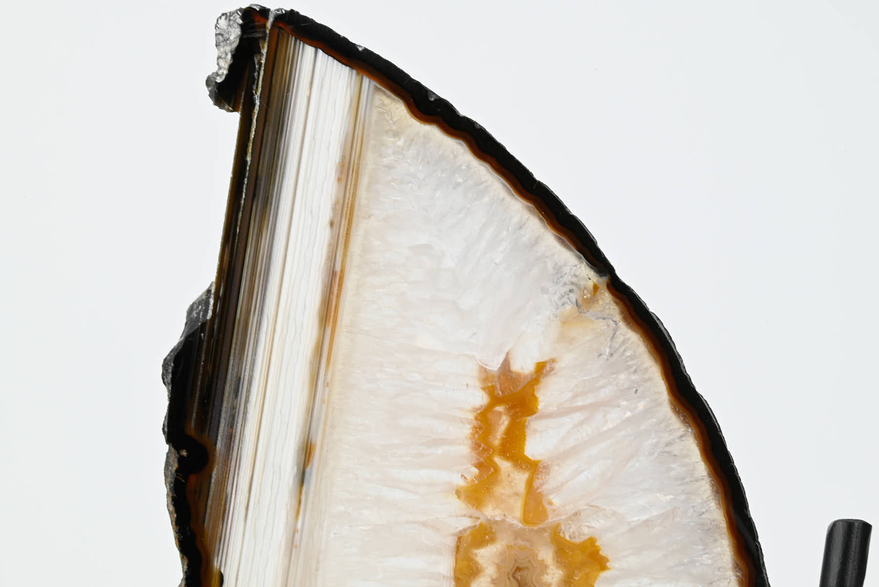 Natural Agate Butterfly on Stand - 0.59kg and 22cm Tall - #BUNATU-10016