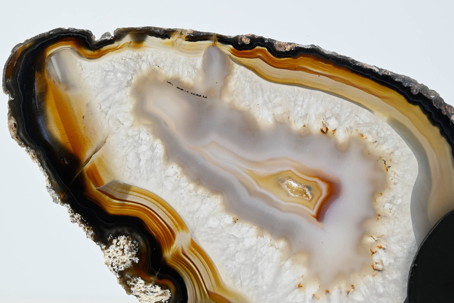 Natural Agate Butterfly on Stand - 0.57kg and 18cm Tall - #BUNATU-10018