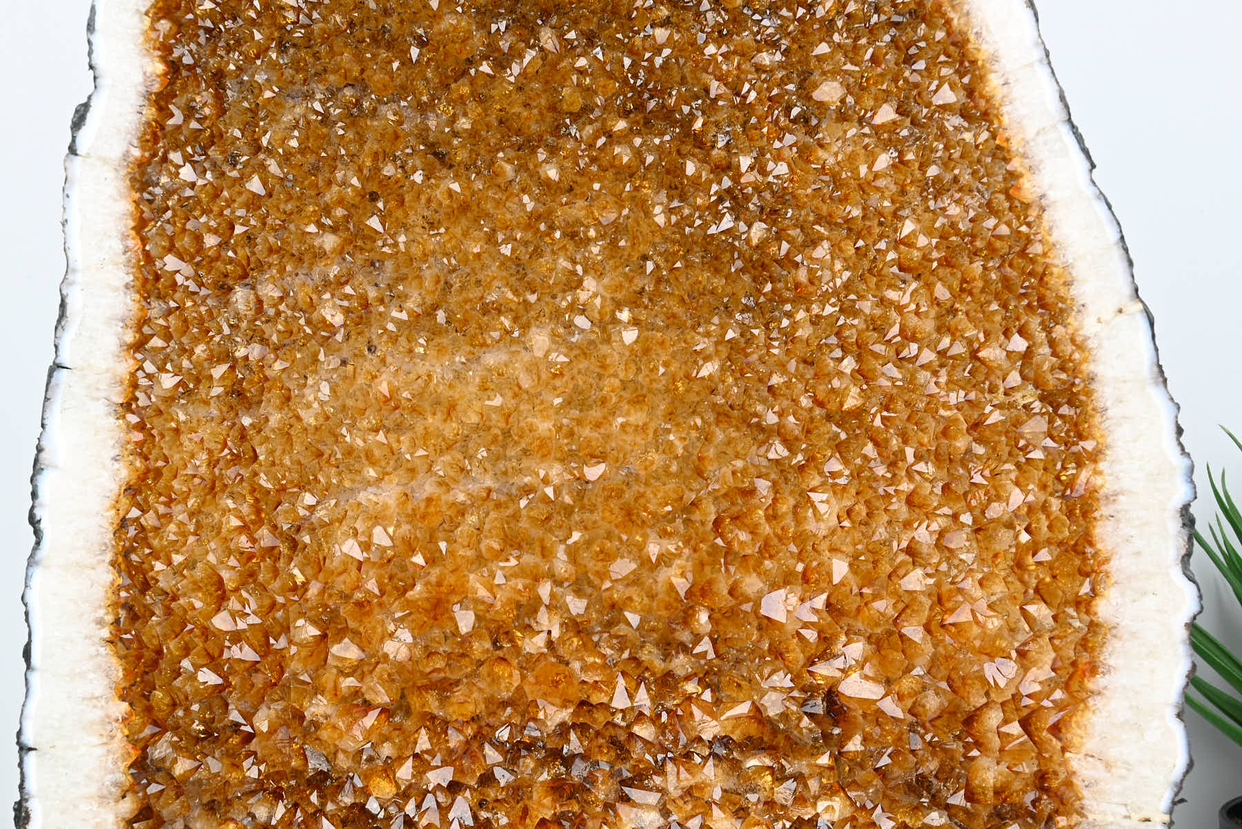 Extra Quality Citrine Cathedral - 27.98kg, 50cm tall - #CACITR-10016