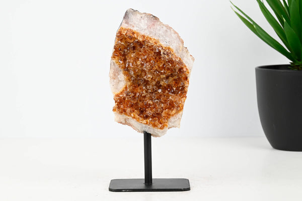 Extra Quality Citrine Cluster on Stand - Small 15cm Tall - #CLUSCI-63035