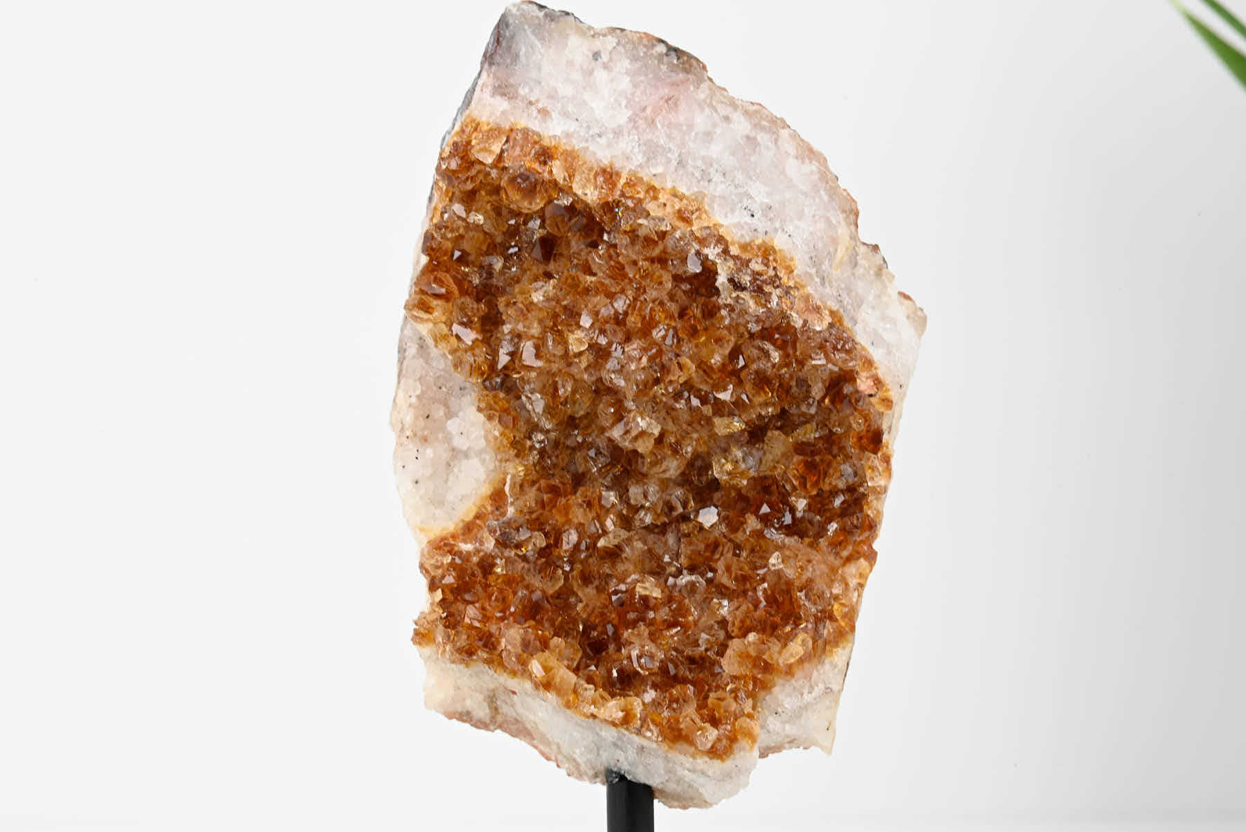 Extra Quality Citrine Cluster on Stand - Small 15cm Tall - #CLUSCI-63035