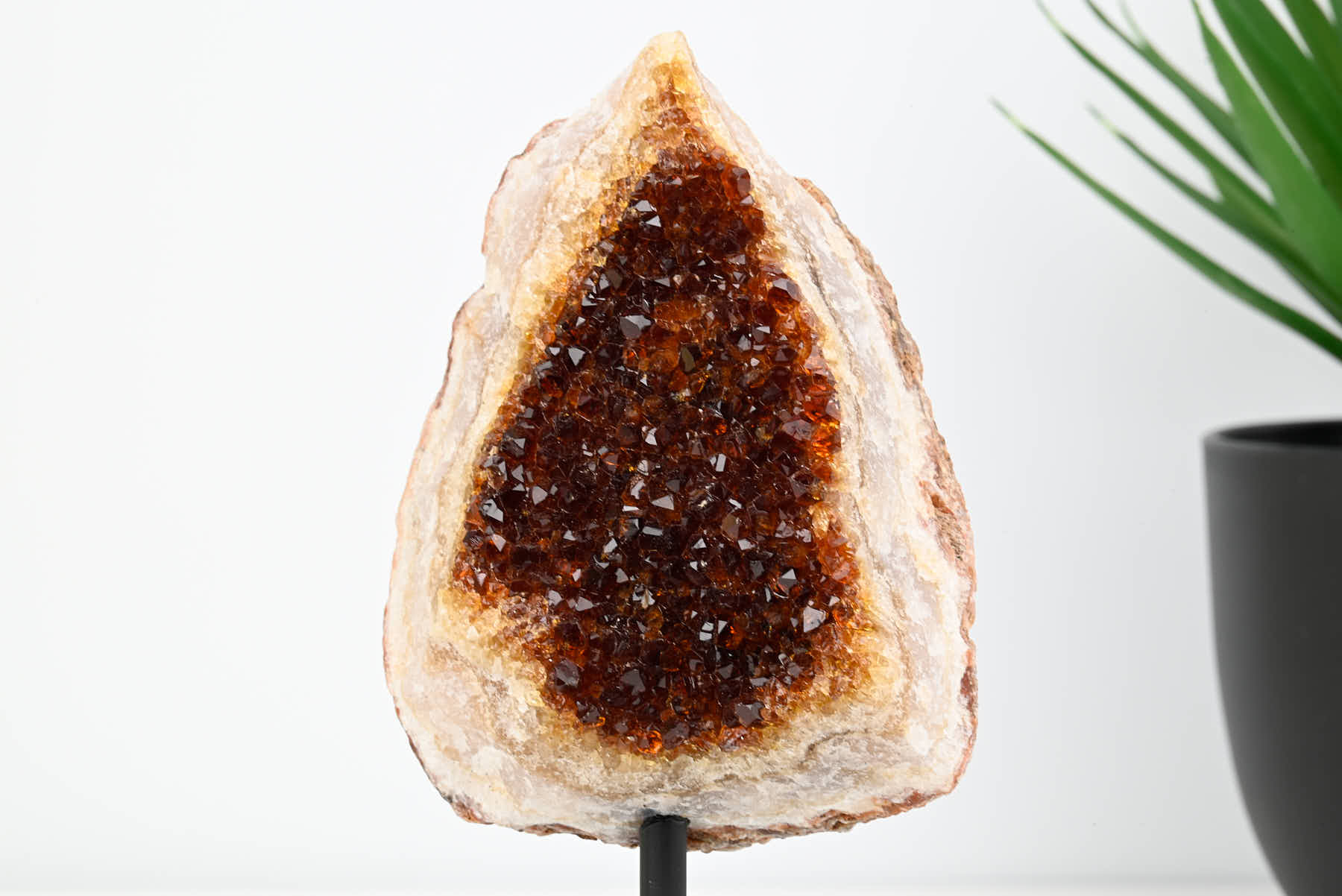 Extra Quality Citrine Cluster on Stand - Small 15cm Tall - #CLUSCI-63038