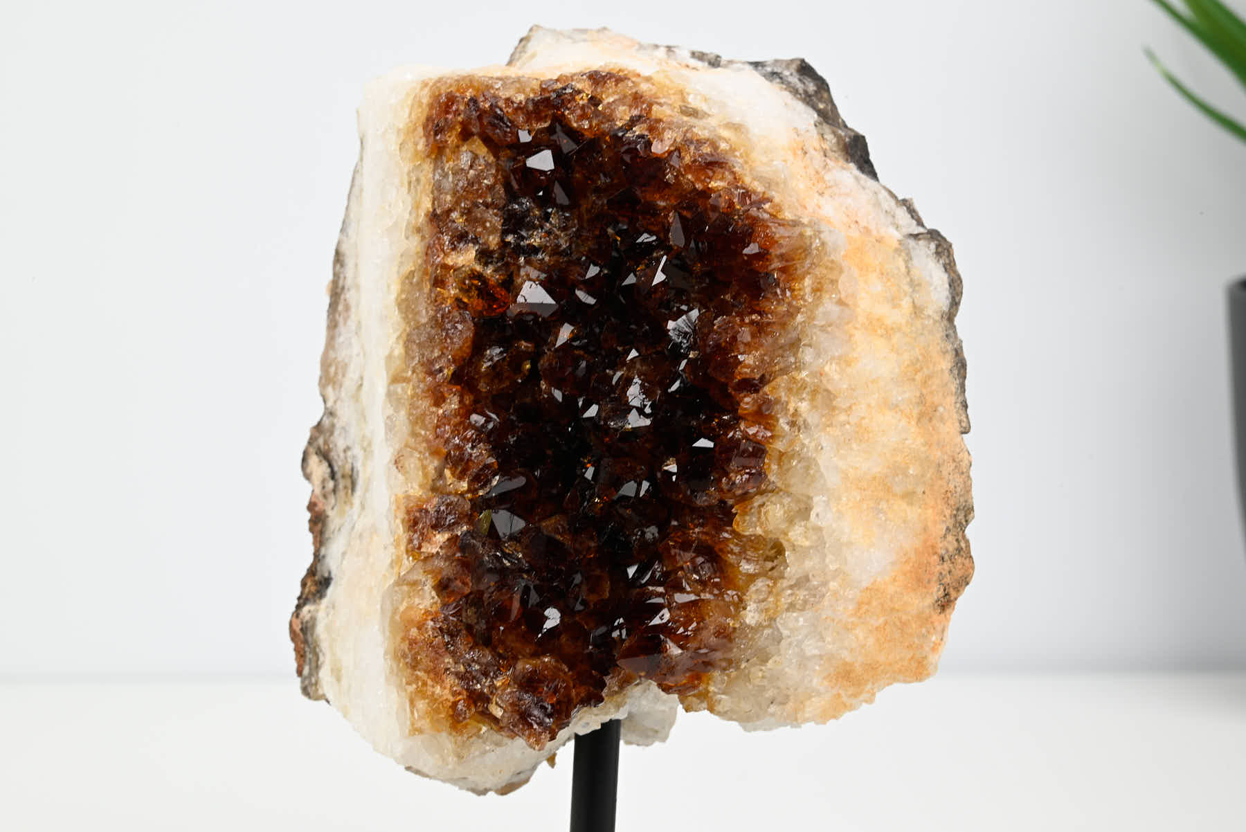 Extra Quality Citrine Cluster on Stand - Small 14cm Tall - #CLUSCI-63012