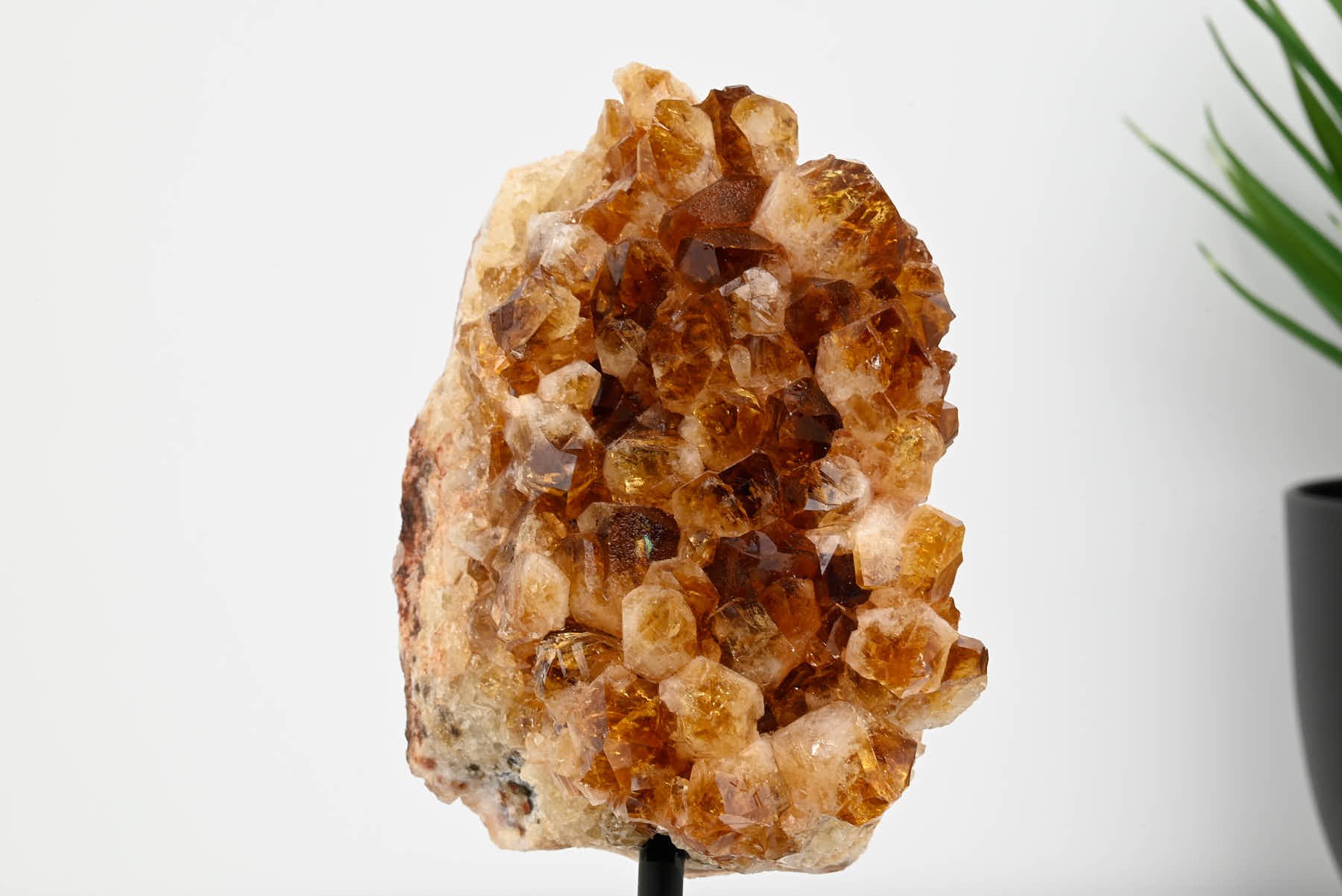 Extra Quality Citrine Cluster on Stand - Small 17cm Tall - #CLUSCI-63013