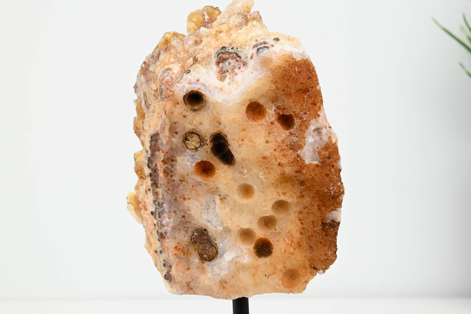 Extra Quality Citrine Cluster on Stand - Small 17cm Tall - #CLUSCI-63013