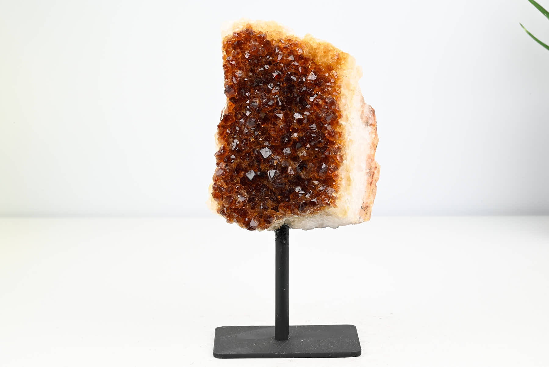 Extra Quality Citrine Cluster on Stand - Small 15cm Tall - #CLUSCI-63049