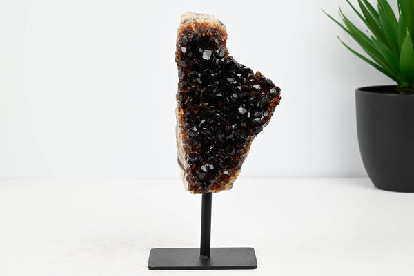 Extra Quality Citrine Cluster on Stand - Small 16cm Tall - #CLUSCI-63016