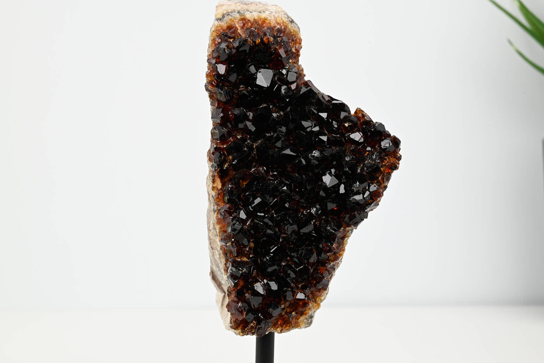 Extra Quality Citrine Cluster on Stand - Small 16cm Tall - #CLUSCI-63016