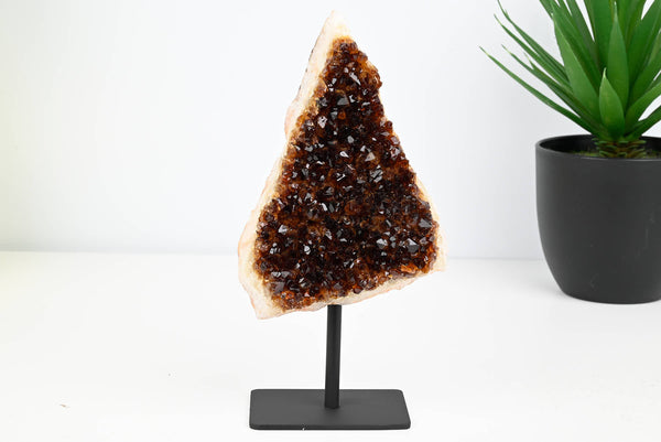 Extra Quality Citrine Cluster on Stand - Small 17cm Tall - #CLUSCI-63048