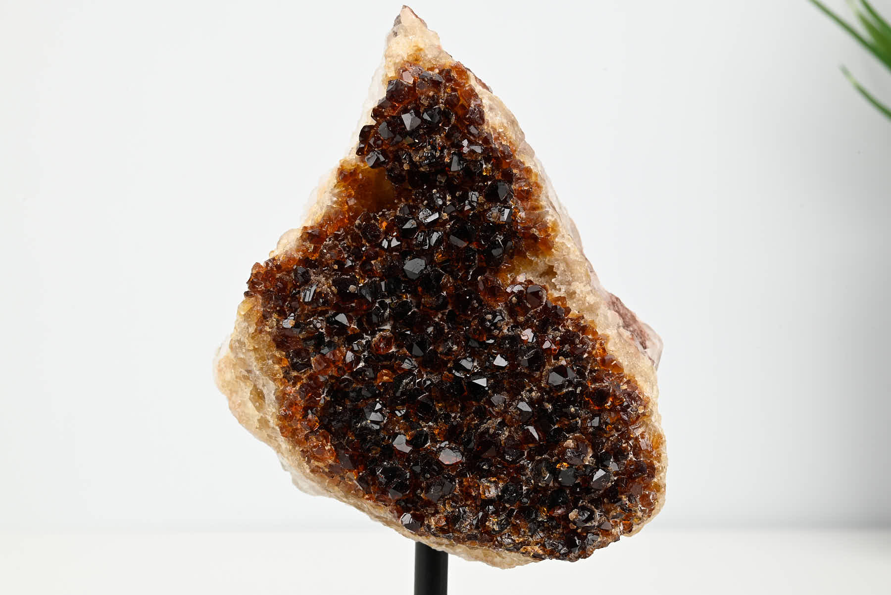 Extra Quality Citrine Cluster on Stand - Small 16cm Tall - #CLUSCI-63022