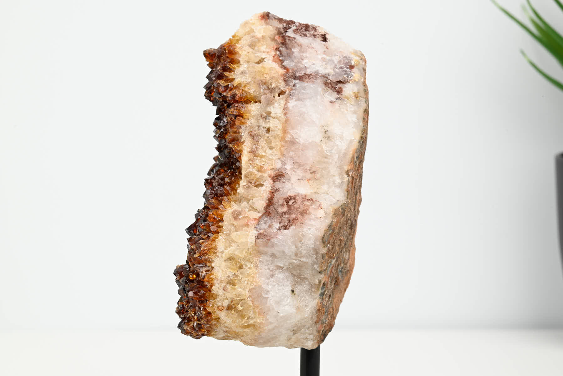 Extra Quality Citrine Cluster on Stand - Small 16cm Tall - #CLUSCI-63022