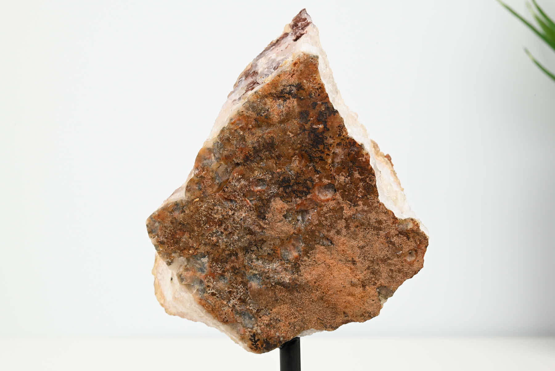 Extra Quality Citrine Cluster on Stand - Small 16cm Tall - #CLUSCI-63022