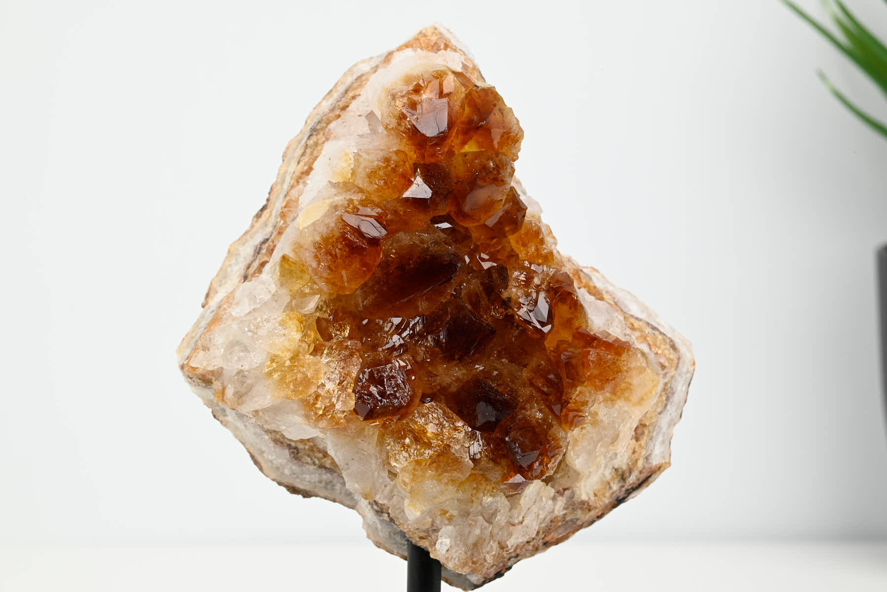 Extra Quality Citrine Cluster on Stand - Small 15cm Tall - #CLUSCI-63017