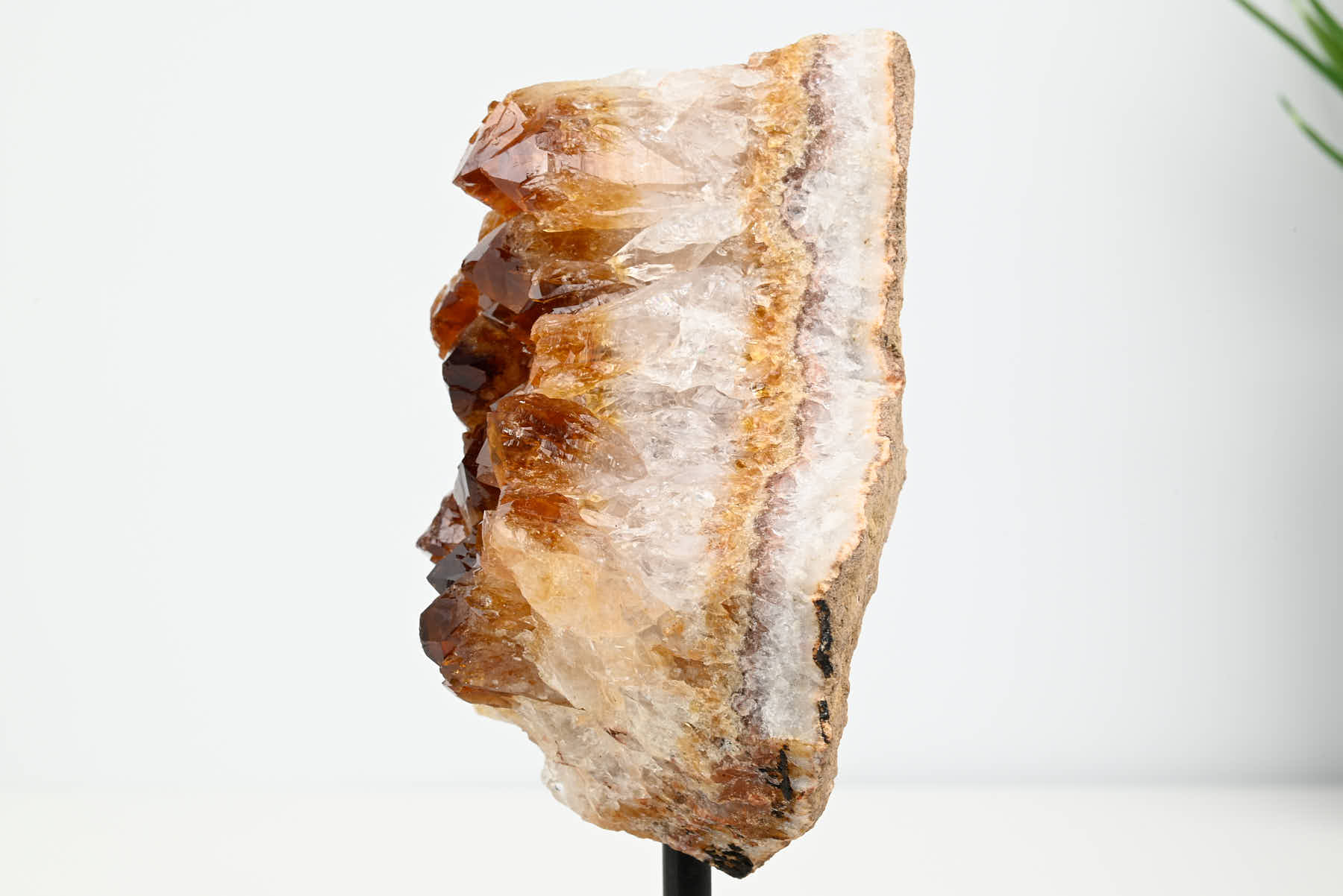 Extra Quality Citrine Cluster on Stand - Small 15cm Tall - #CLUSCI-63017