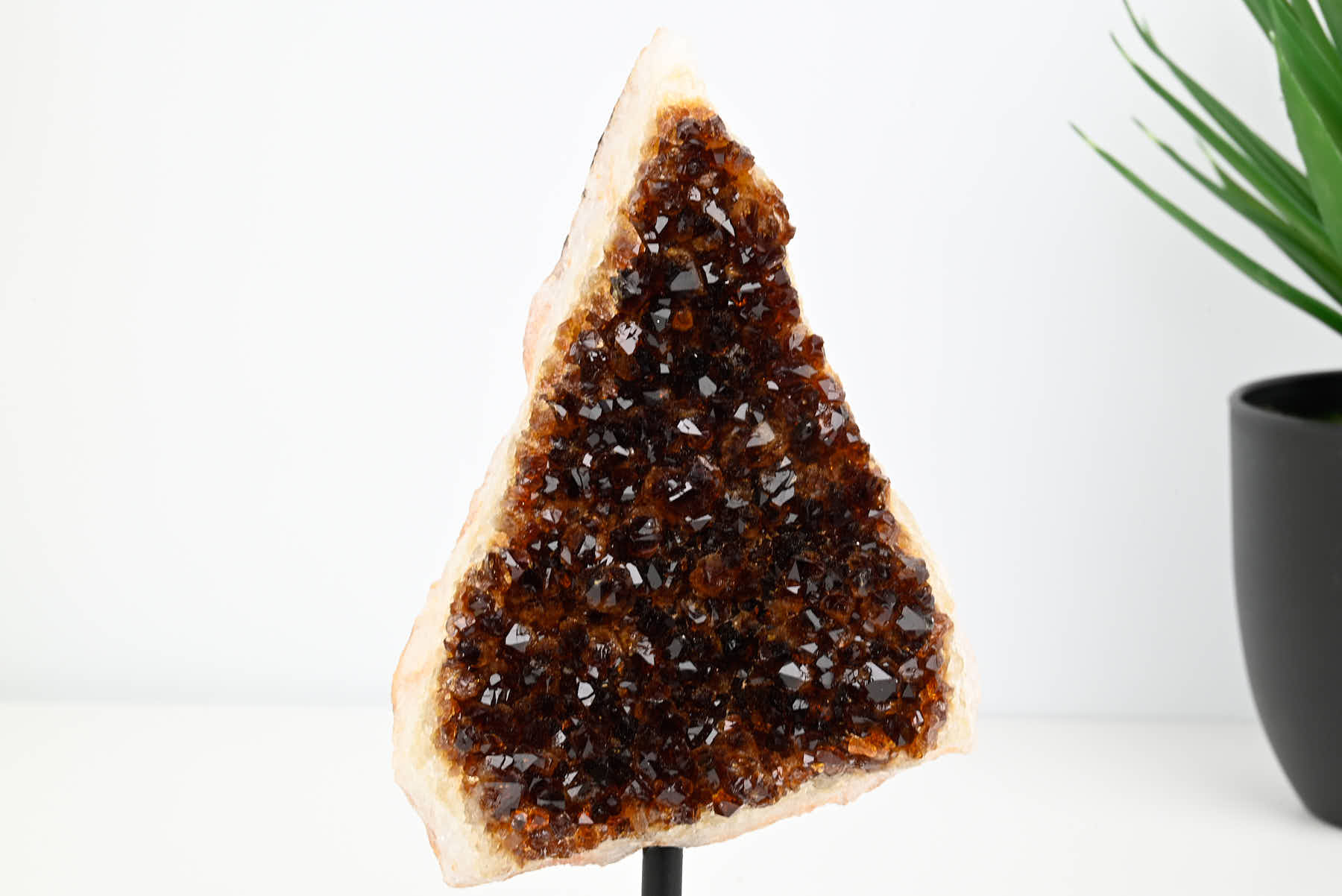 Extra Quality Citrine Cluster on Stand - Small 17cm Tall - #CLUSCI-63048