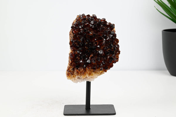 Extra Quality Citrine Cluster on Stand - Small 14cm Tall - #CLUSCI-63024