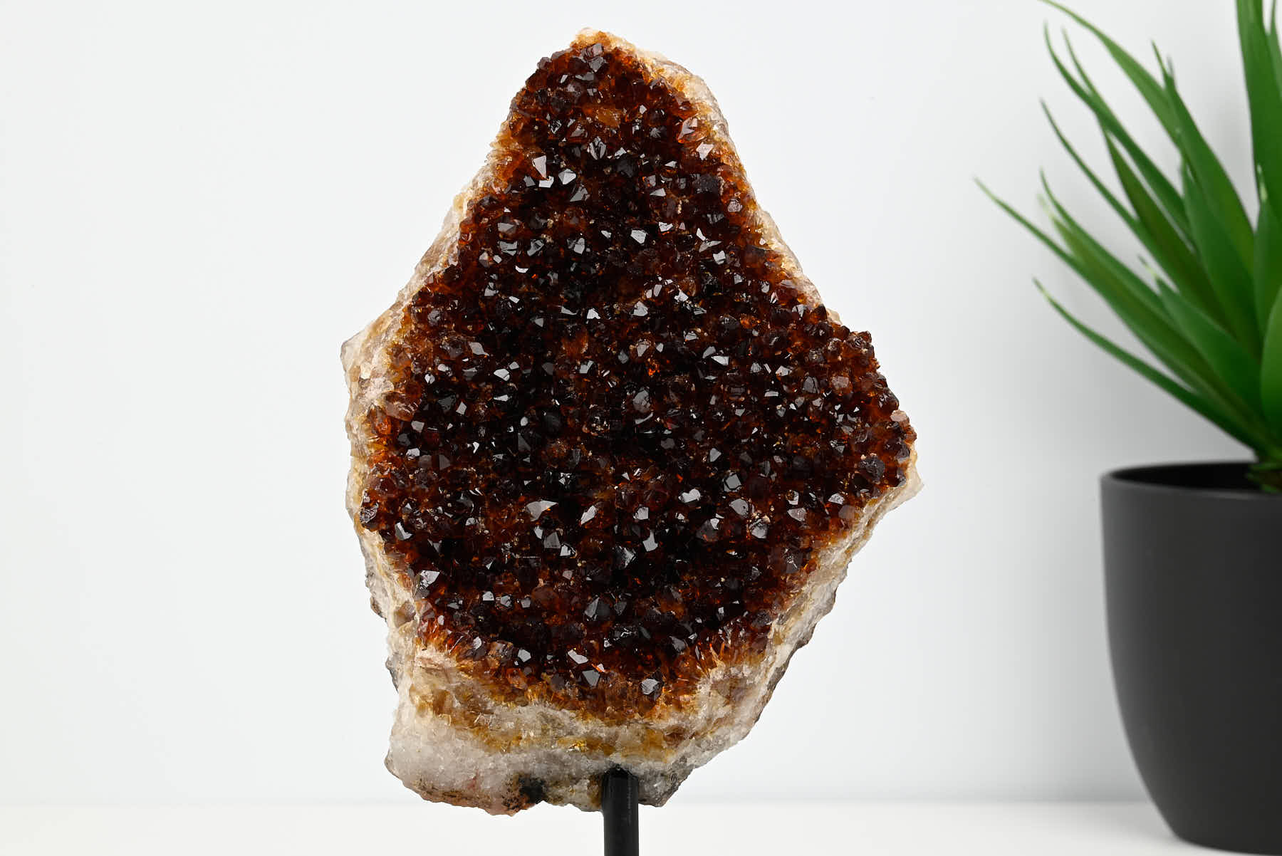 Extra Quality Citrine Cluster on Stand - Small 19cm Tall - #CLUSCI-63014