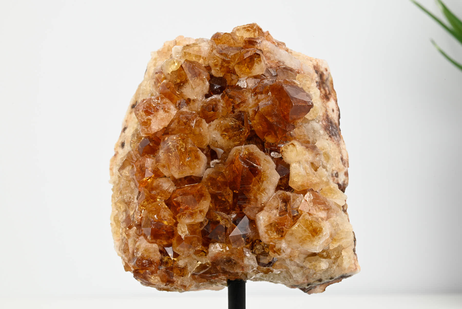 Extra Quality Citrine Cluster on Stand - Small 15cm Tall - #CLUSCI-63027