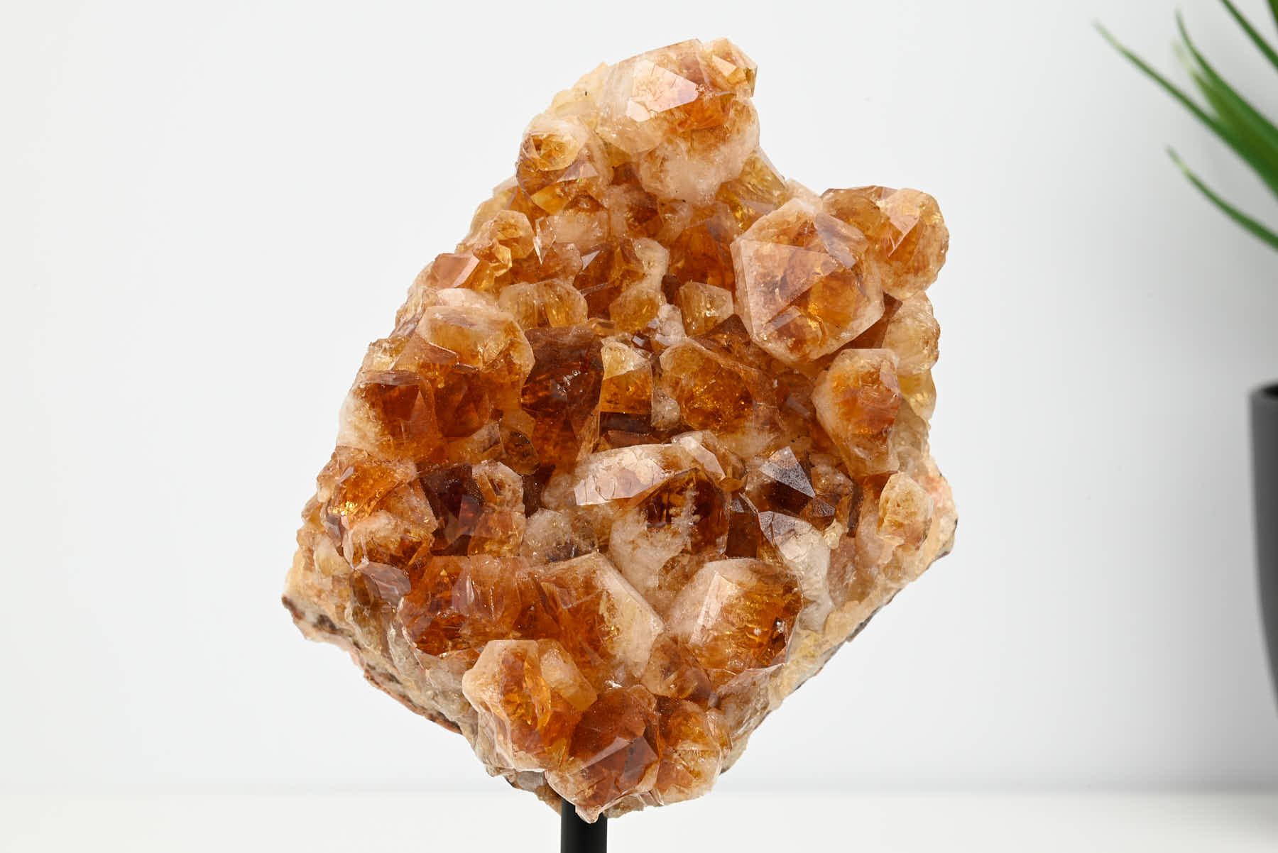 Extra Quality Citrine Cluster on Stand - Small 17cm Tall - #CLUSCI-63028