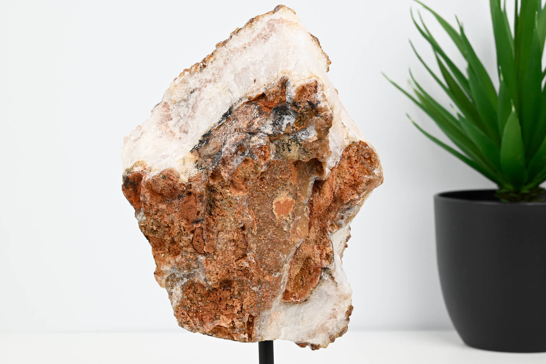 Extra Quality Citrine Cluster on Stand - Medium 19cm Tall - #CLUSCI-63026