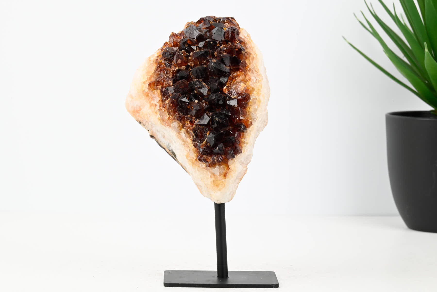 Extra Quality Citrine Cluster on Stand - Small 16cm Tall - #CLUSCI-63041