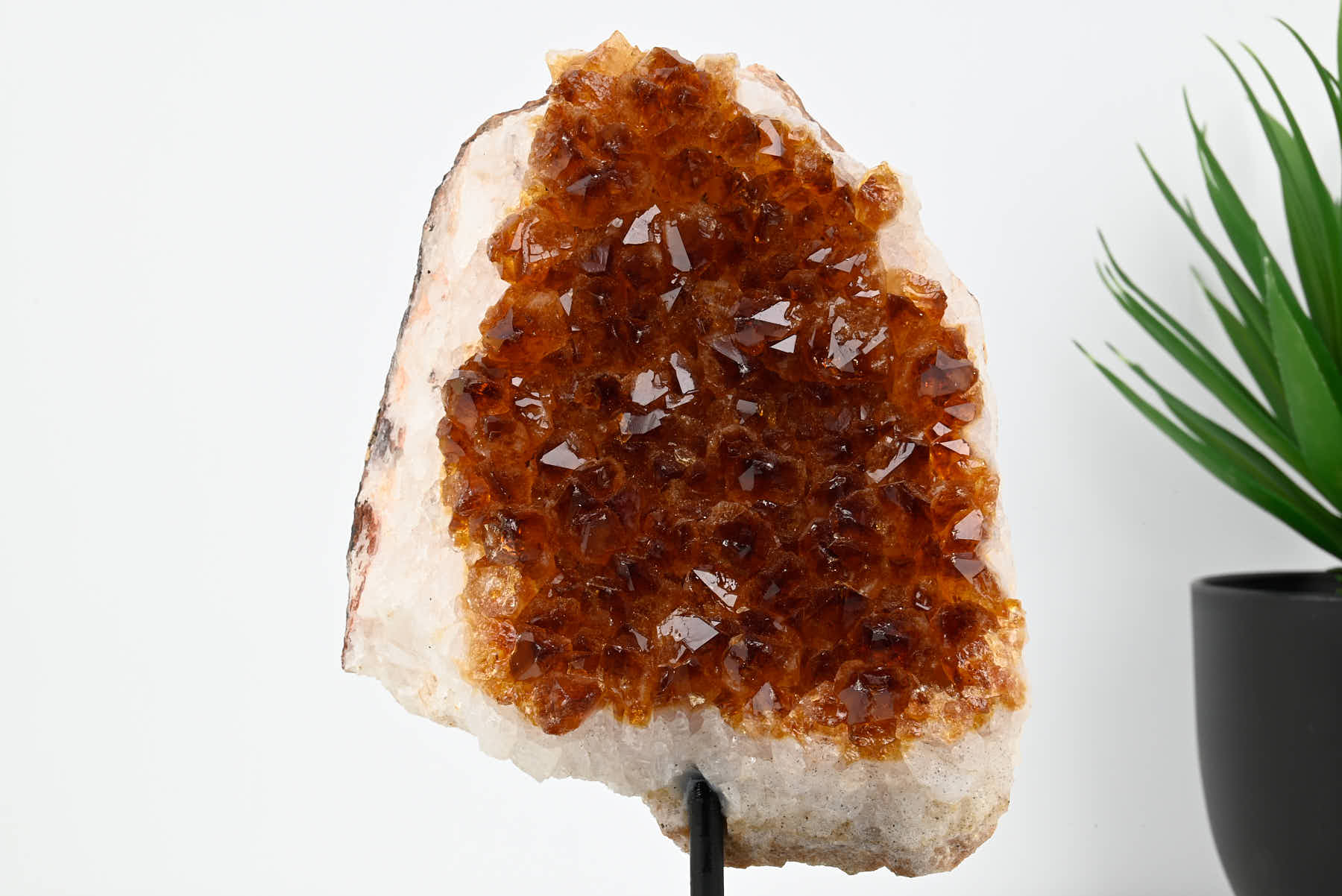 Extra Quality Citrine Cluster on Stand - Medium 20cm Tall - #CLUSCI-63040