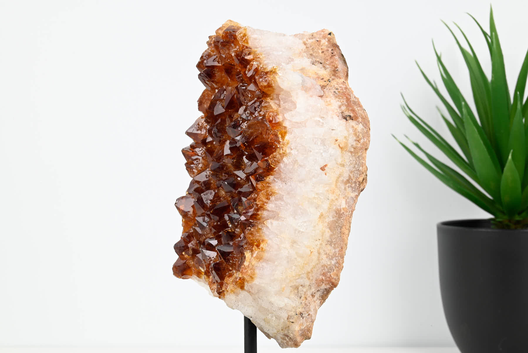 Extra Quality Citrine Cluster on Stand - Medium 20cm Tall - #CLUSCI-63040