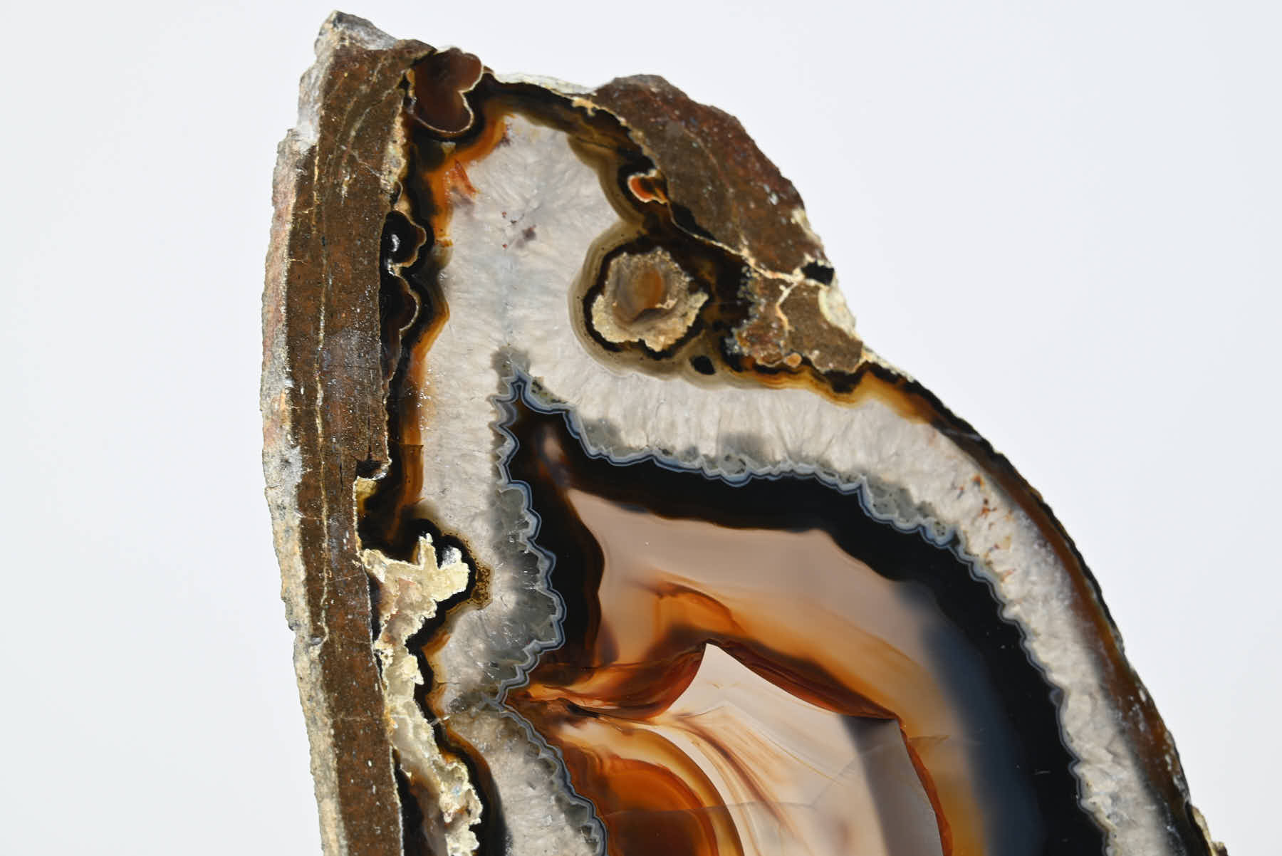 Natural Agate Butterfly on Stand - 1.65kg and 42cm Tall - #BUNATU-10011