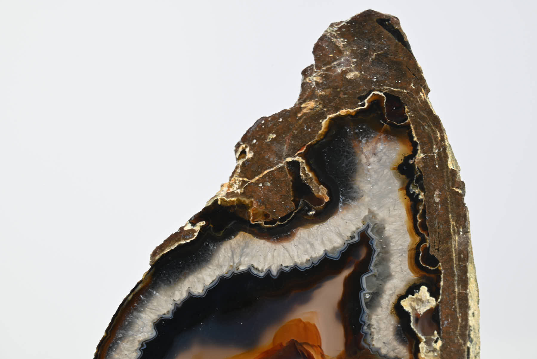 Natural Agate Butterfly on Stand - 1.65kg and 42cm Tall - #BUNATU-10011